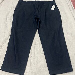 GAP Women's Dark Blue Cropped Pants